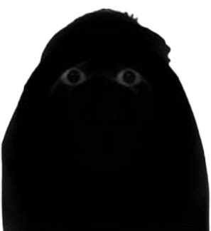 angry muchi